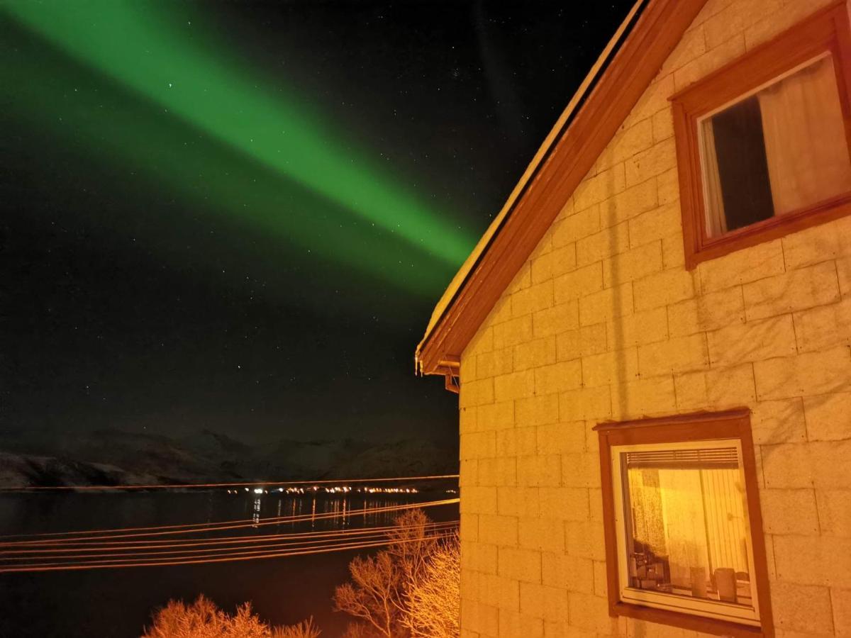 Villa Senja Skaland à Melkarhola Extérieur photo